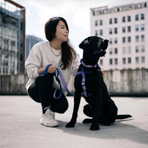 Woof Concept EMPRESS Step-In Waterproof Harness