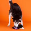 Fringe Studio Petshop It Be Like Bat Dog Toy