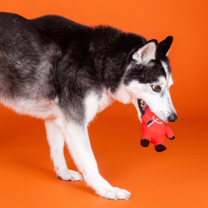 Fringe Studio Petshop A Little Hotheaded Latex Dog Toy