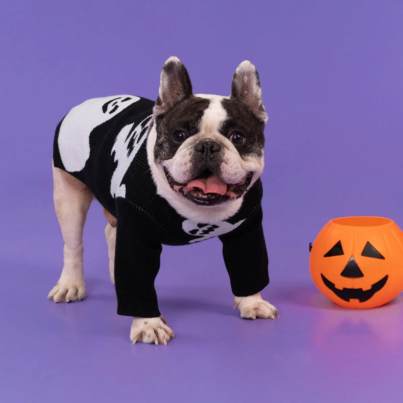 Fitwarm Black Ghost Sweater – Paws and Whiskers - Main Image