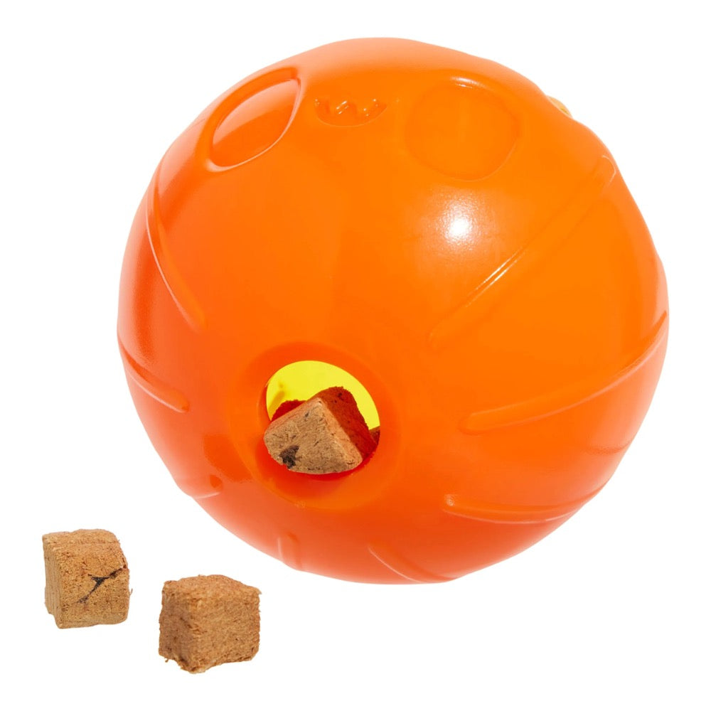 BARK Pumpkin Prodigy Dog Toy- Orange