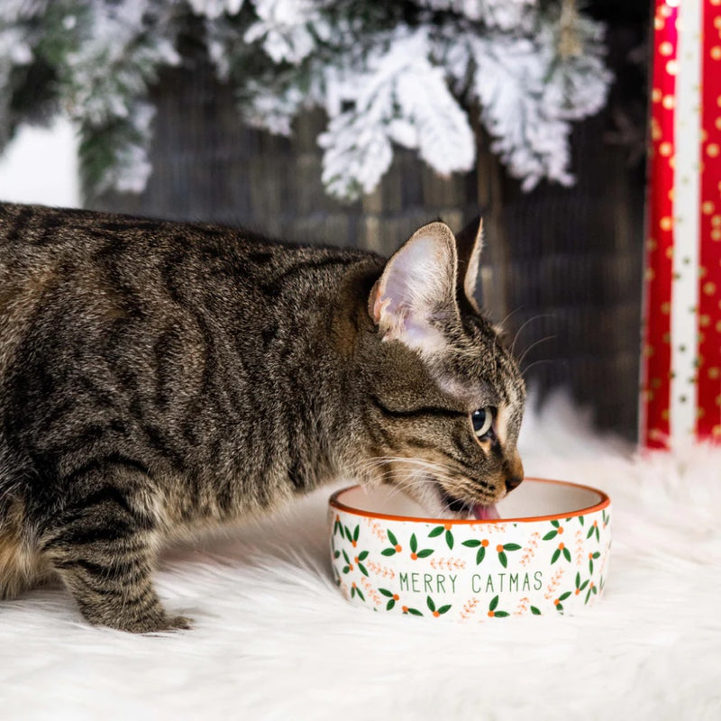 Pearhead holiday cat bowl - Small