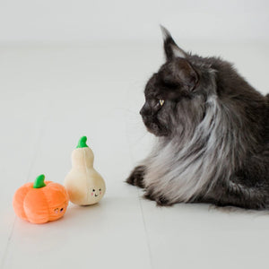 Pearhead Oh My Gourd Cat Toy- 2 Pack