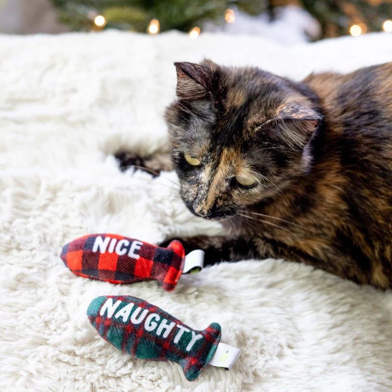 Pearhead naughty or nice cat toy set