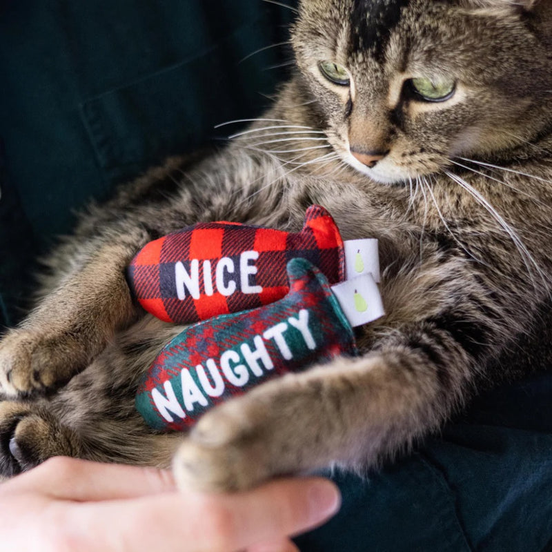 Pearhead naughty or nice cat toy set