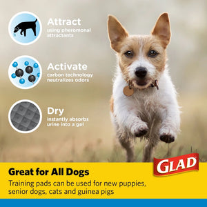 GLAD Training Pads for Puppies & Senior Dogs - 23" x 23"