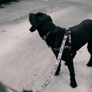 Woof Concept DARK N STORMY 2 Step-In Waterproof Harness