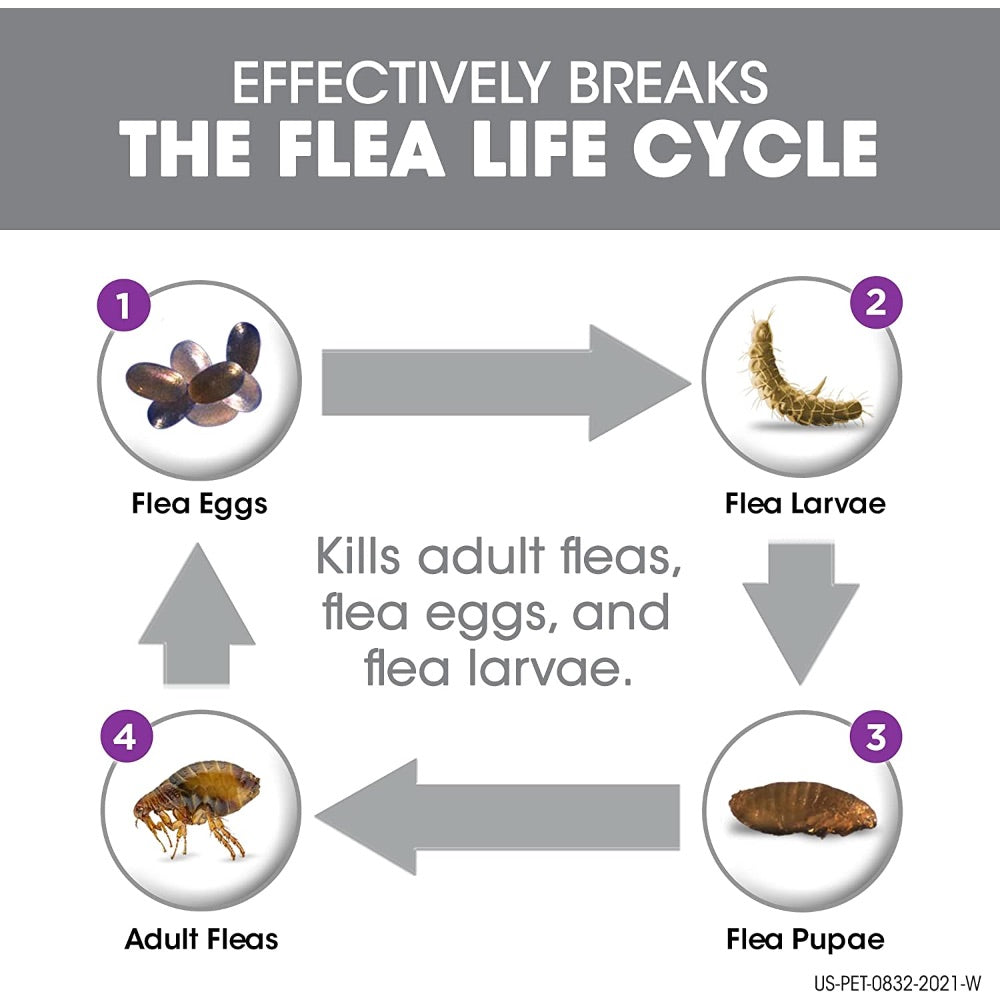 Plus for Dogs Flea and Tick Treatment (Large Dog, 20-40kg.) - 1 Dose