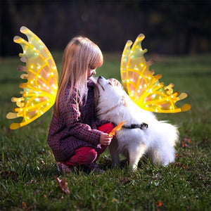 Bslissey Electric Wings with Led Lights & Music Halloween Costume