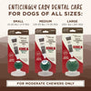 TropiClean Enticers Kong Dental Ball Kit