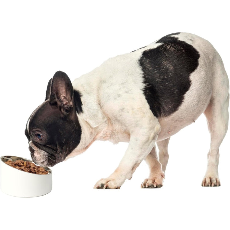 Petrageous Seychelles Slanted Double Walled Pet Bowls