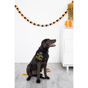 Pearhead Tricks for Treats Pet Bandana - S/M