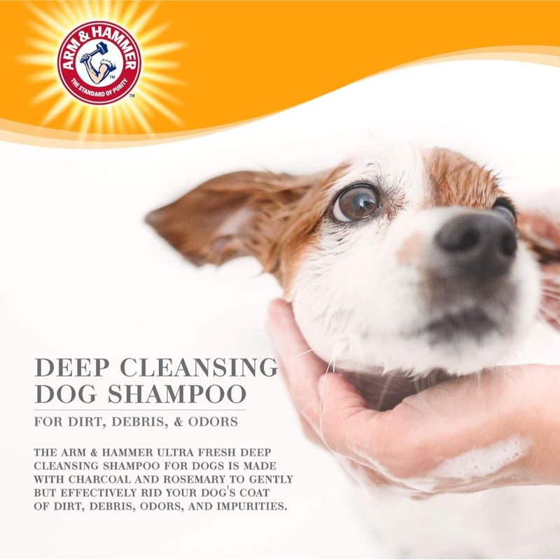 Arm & Hammer Ultra Fresh Deep Cleansing Shampoo - 16 oz