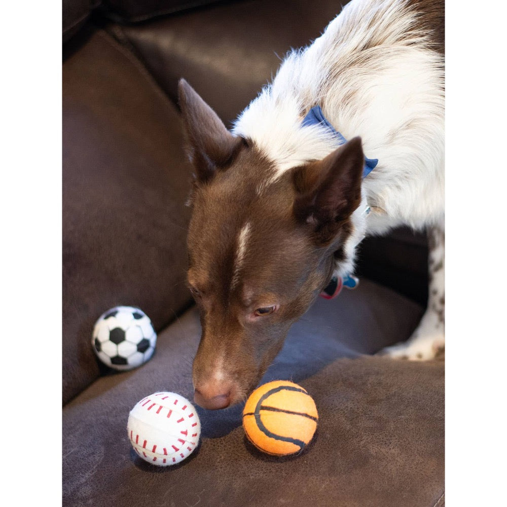 ThoozyPet Tennis Ball Assorted Fetch Dog Toy 2.5"