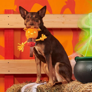 BARK Jack-Crow-Lantern Plush Pet Toy