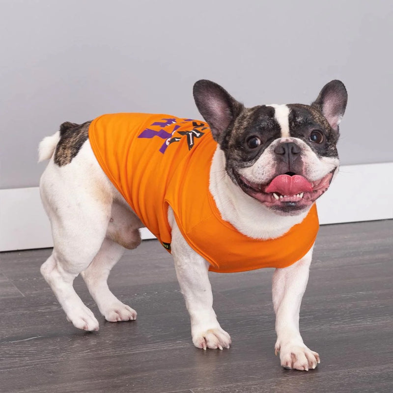 Fitwarm Trick or Treat Tshirt- Orange