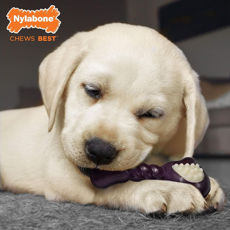 Nylabone Just for Puppies Double Action Bone Puppy Dog Teething Chew Toy Bacon (Small Up To 25 Ibs)