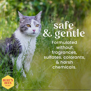 Burt's Bees Hypoallergenic Cat Shampoo, 10 oz
