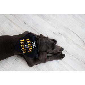 Pearhead Tricks for Treats Pet Bandana - S/M