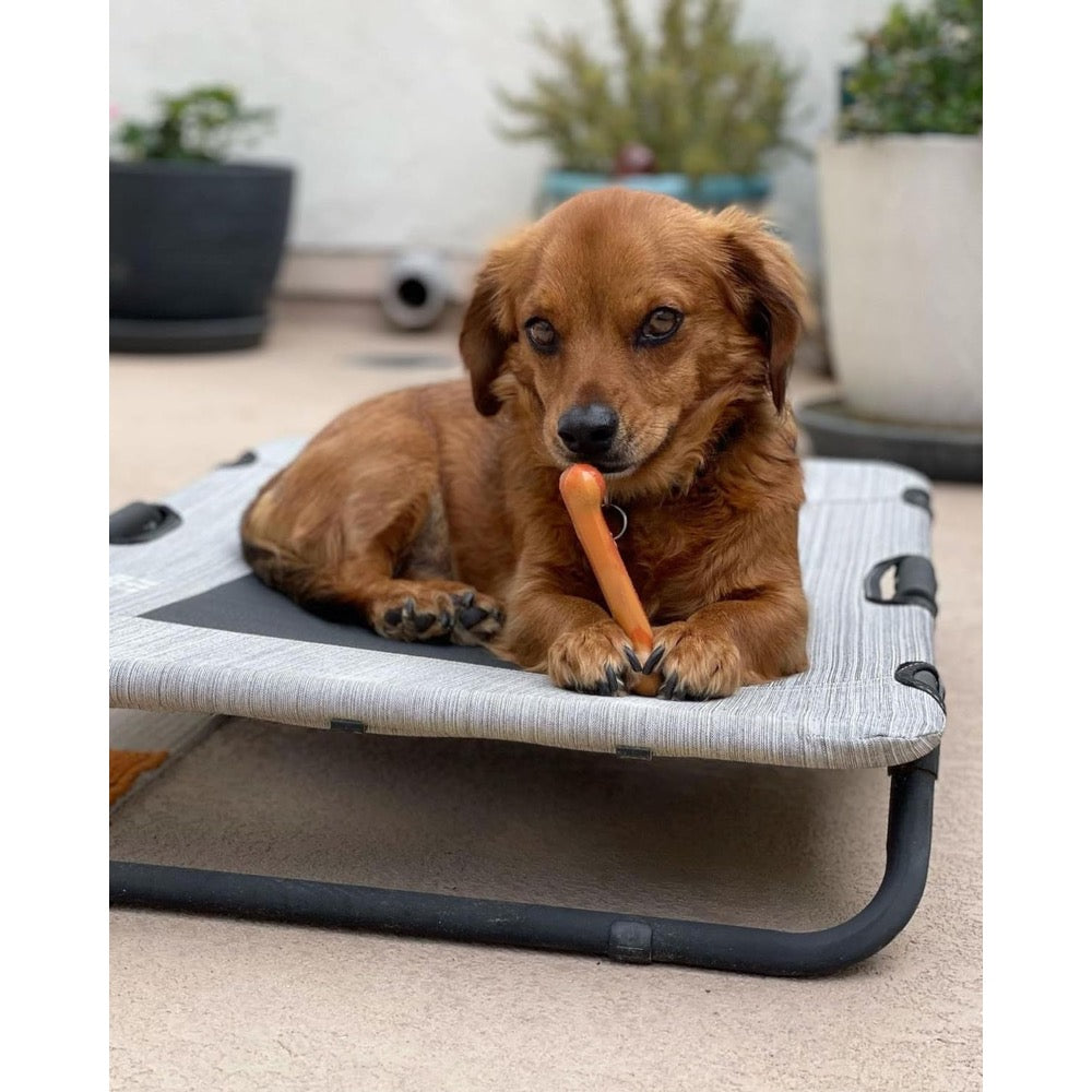 Nylabone Flavor Frenzy Power Chew Triple Pack Pancakes Sausage, Roast Beef Club, Lasagna. (XS/Petite Up To 15 Lbs. 3 ct)