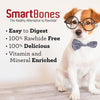 SmartBones Holiday 24 Day Advent Calendar For Small Dogs