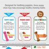 Nylabone Puppy Chew Variety Toy Treat Triple Pack 3 count (Small -  Up To 25 Ibs)