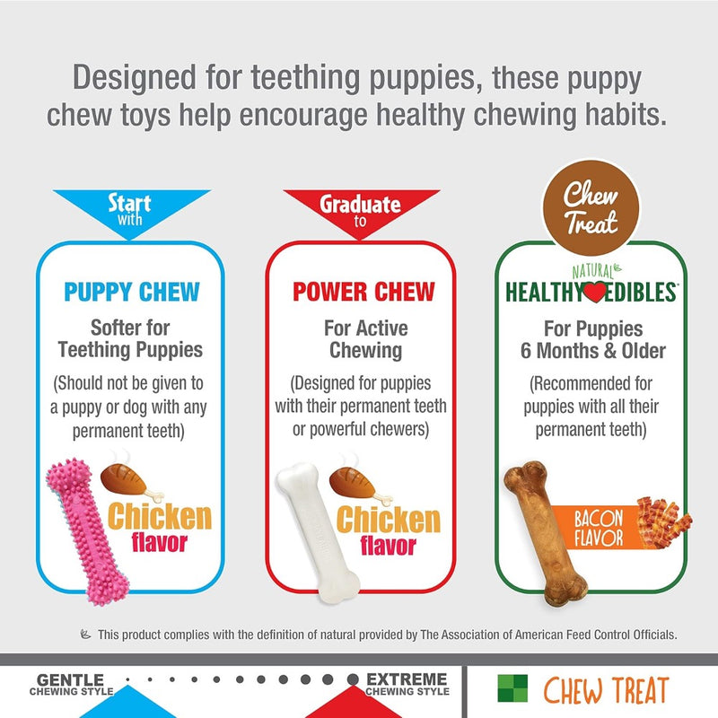 Nylabone Puppy Chew Variety Toy Treat Triple Pack 3 count (Small -  Up To 25 Ibs)