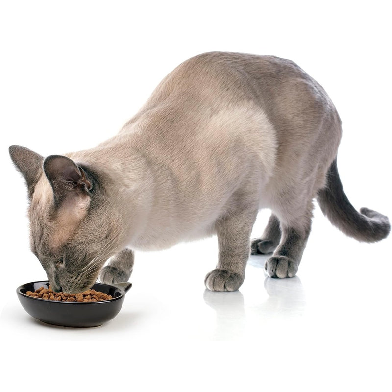 PetRageous Frisky Kitty Stoneware Cat Bowls