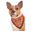 Rubie's Creature Of The Night Pet Bandana