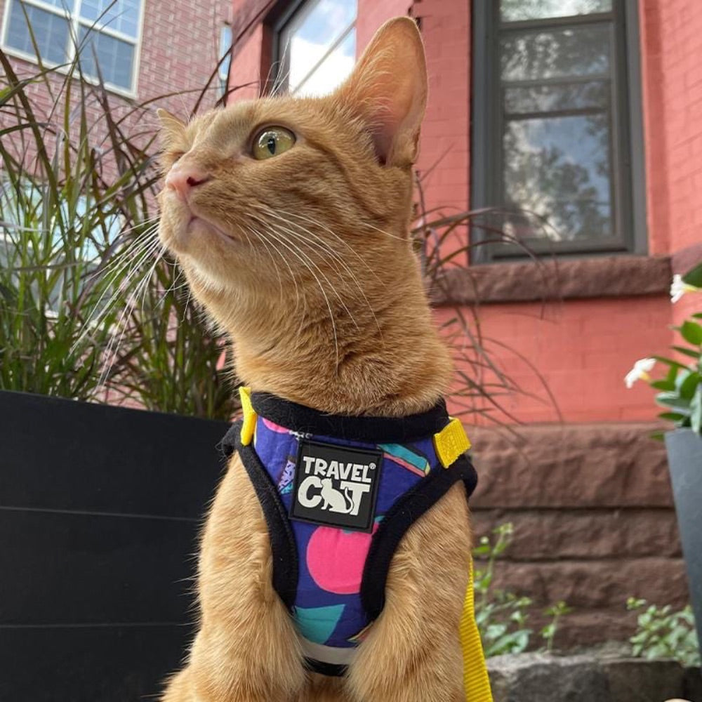 Travel Cat "The '90s Cat" Limited-Edition Harness & Leash Set