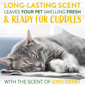 Tropiclean Gentle Coconut Hypoallergenic Cat & Kitten Shampoo 12oz
