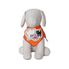Tail Trends Spooky Friends Dog Bandana