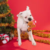 BARK Felix Navidad Plush Dog Toy