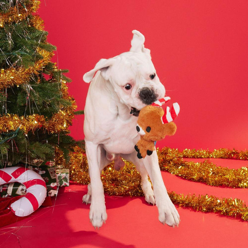 BARK Felix Navidad Plush Dog Toy