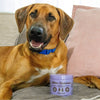 Natural Dog Company Aller-Immune Supplement - 90 Chews