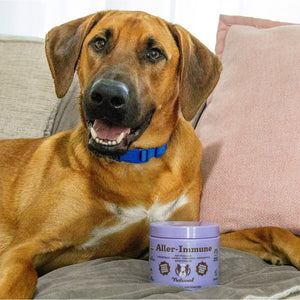 Natural Dog Company Aller-Immune Supplement - 90 Chews