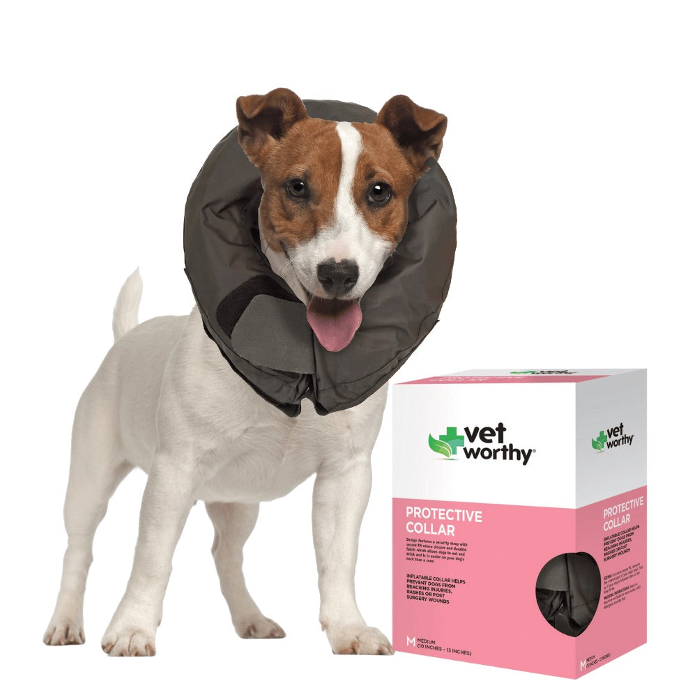 Vet Worthy Pet Protective Soft Inflatable Collar – Paws and Whiskers