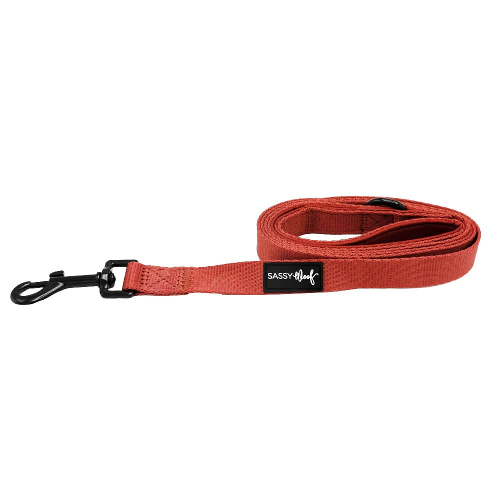 Sassy Woof Dog Leash- Burgundy