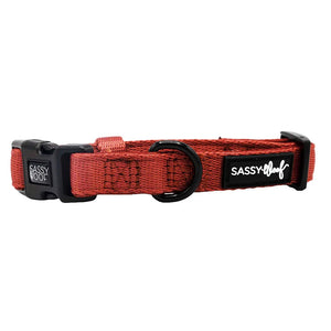 Sassy Woof Dog Collar- Burgundy