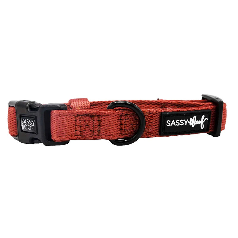 Sassy Woof Dog Collar- Burgundy