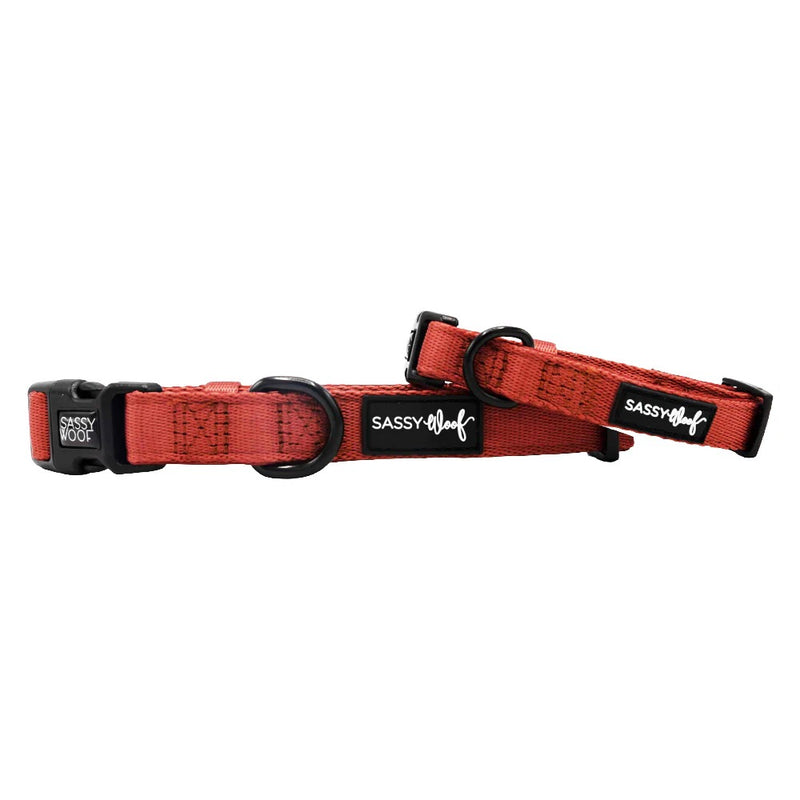 Sassy Woof Dog Collar- Burgundy