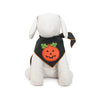 Tail Trends Pumpkin Stripes Halloween Dog Bandana