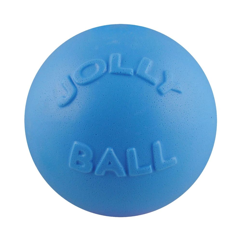 Jolly Pet Bounce-N-Play Ball