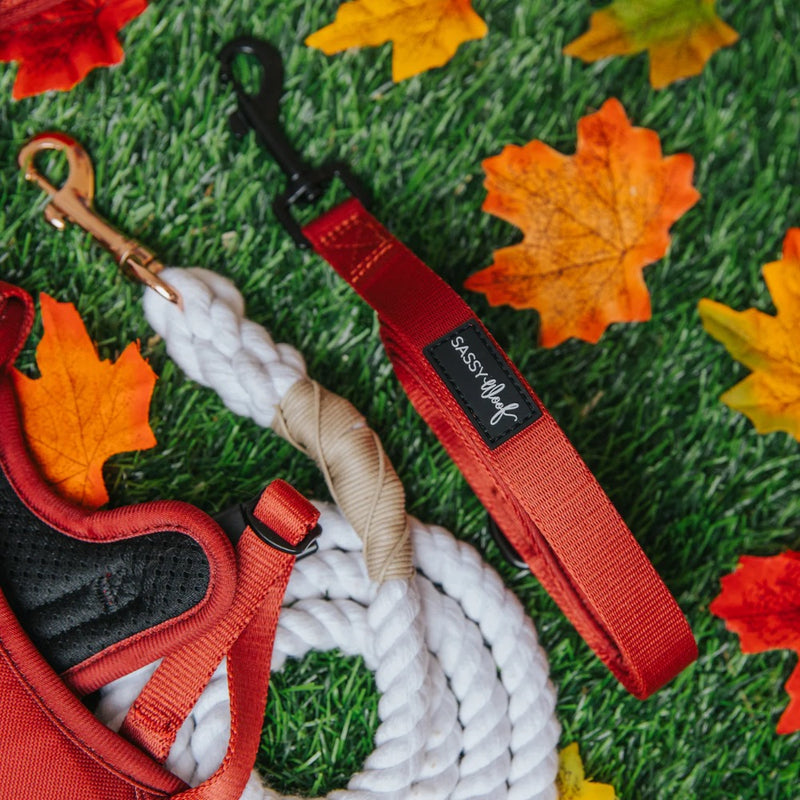 Sassy Woof Dog Leash- Burgundy