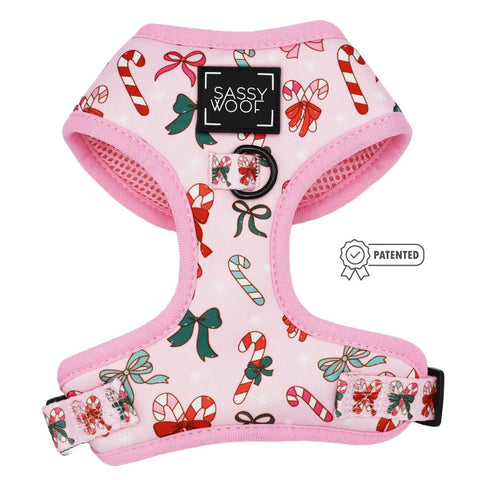 Sassy Woof Dog Sailor Bow - Sleigh Baby Sleigh