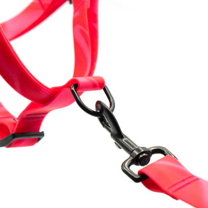 Woof Concept COSMOPOLITAN Step-In Harness