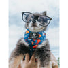 Sassy Woof Dog Adjustable Harness - Superman™ & Krypto™