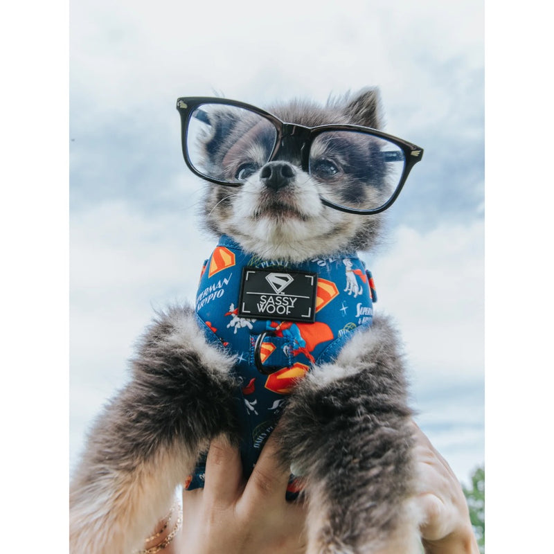 Sassy Woof Dog Adjustable Harness - Superman™ & Krypto™