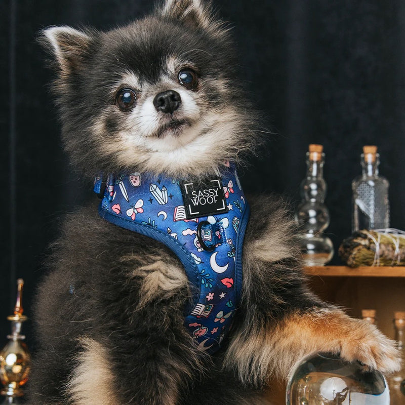 Sassy Woof Adjustable Harness- Spellbound