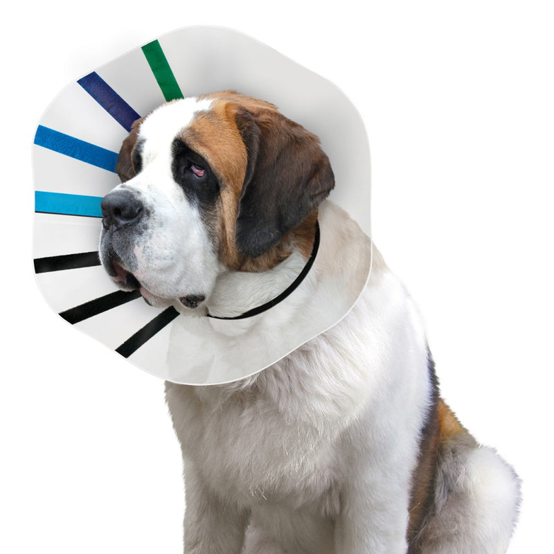 KONG® E-Collar EZ Clear
